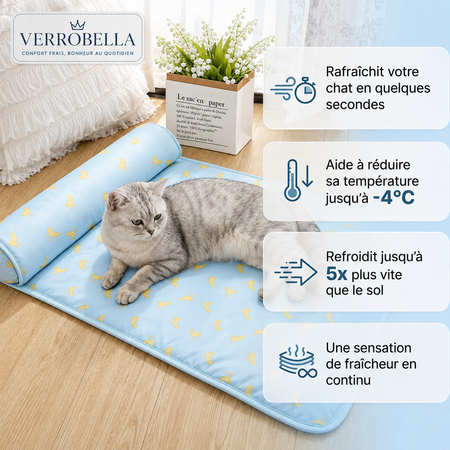 FraîchePatte™-Tapis rafraîchissant pour chiens et chats