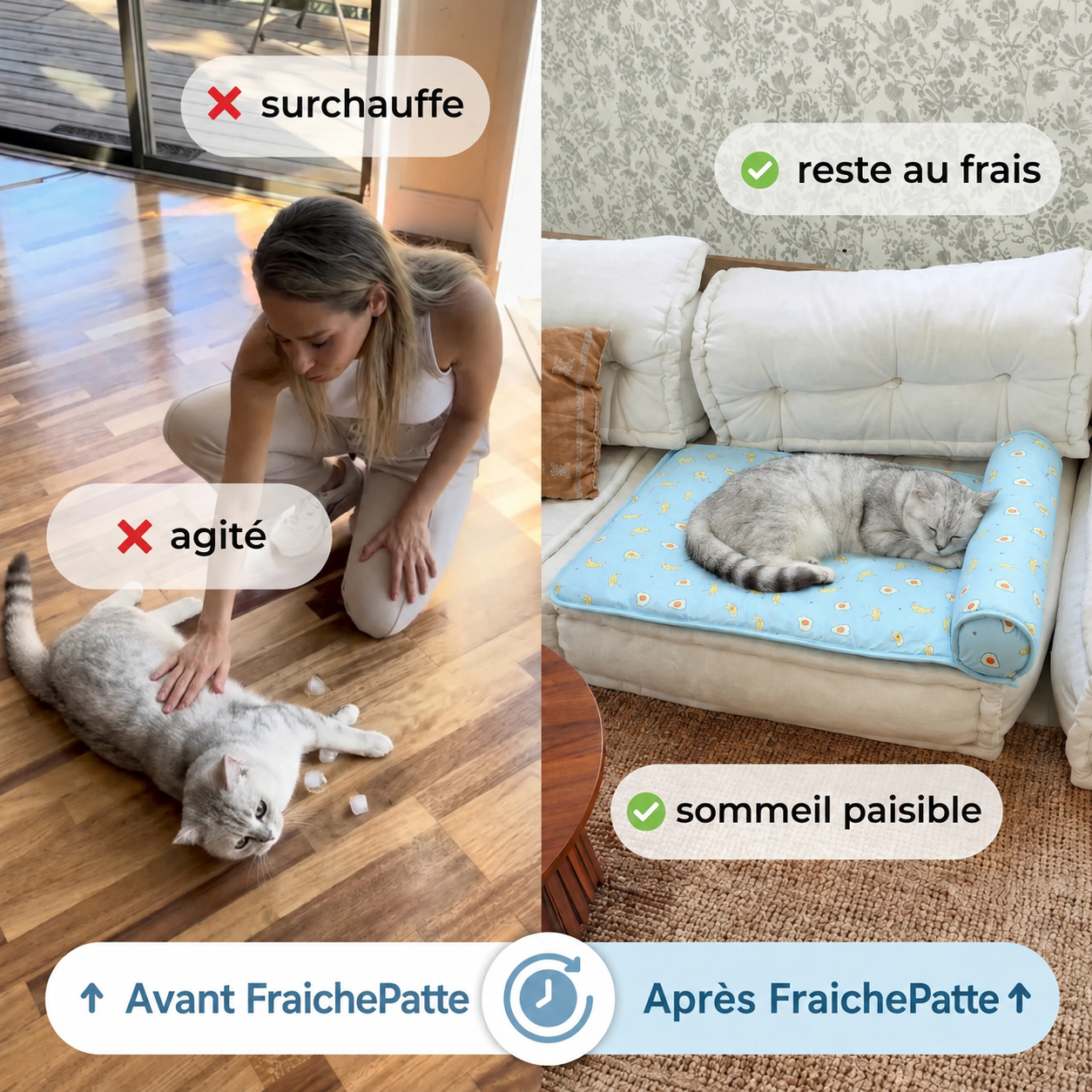 FraîchePatte™-Tapis rafraîchissant pour chiens et chats