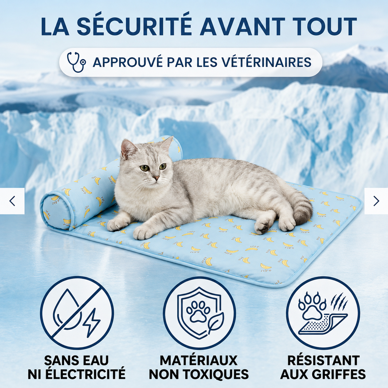 FraîchePatte™-Tapis rafraîchissant pour chiens et chats
