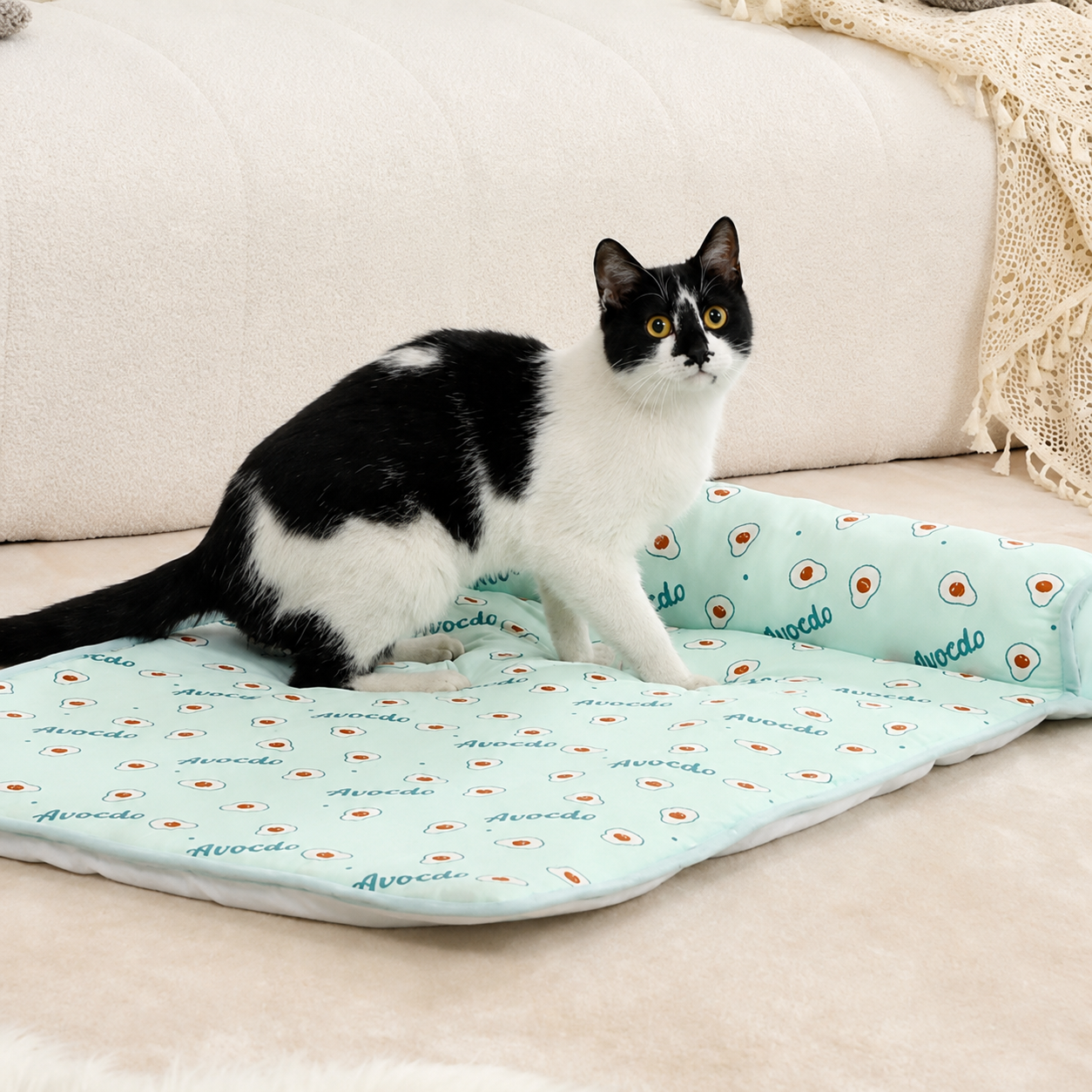 FraîchePatte™-Tapis rafraîchissant pour chiens et chats