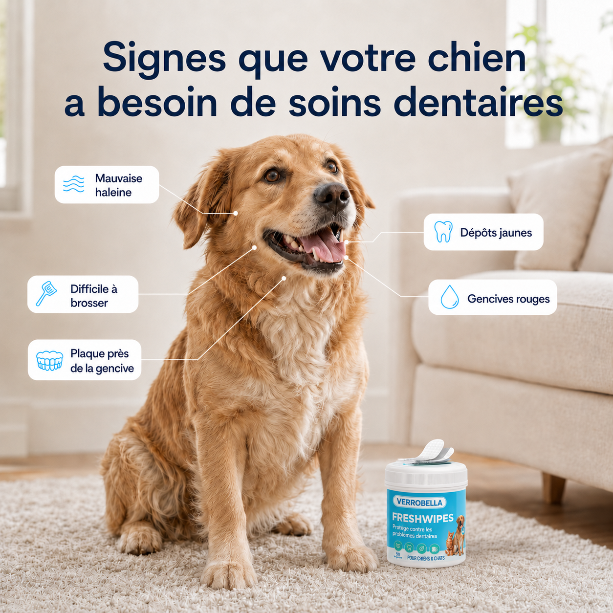 FreshWipes™ – Lingettes dentaires pour chiens et chats