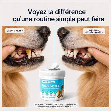 FreshWipes™ – Lingettes dentaires pour chiens et chats