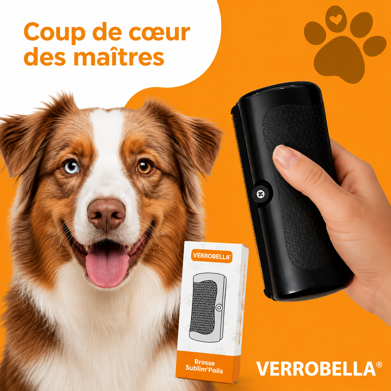 Brosse Sublim’Poils  – Un pelage propre, une maison nette