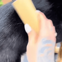 Brosse Clean'Poils™- Fini les poils partout